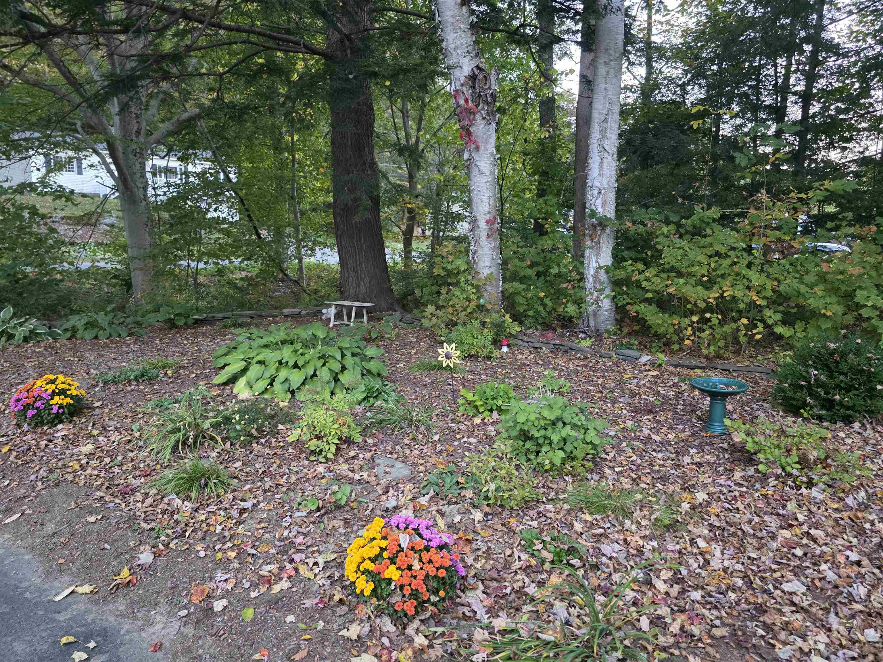 58 Morningside Drive