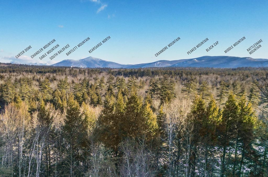 Photo of 103 Moat View Drive, Albany, NH 03818 (MLS # 5075185)