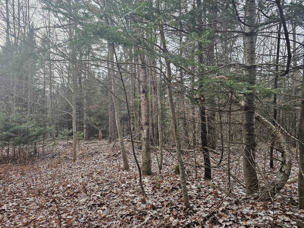 Photo of 461 Hill Road #Map R14, Lot 4 ( lan, Dummer, NH 03588 (MLS # 5023409)