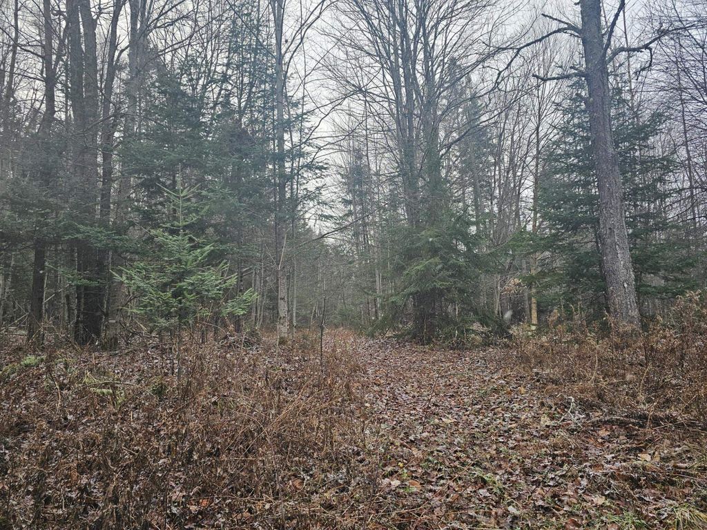 Photo of 461 Hill Road #Map R14, Lot 4 ( lan, Dummer, NH 03588 (MLS # 5023409)