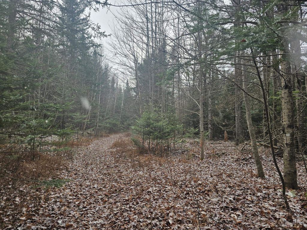 Photo of 461 Hill Road #Map R14, Lot 4 ( lan, Dummer, NH 03588 (MLS # 5023409)
