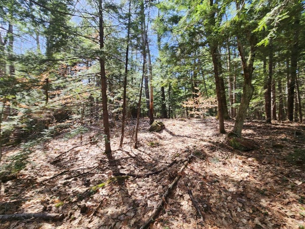 Photo of 0 West Main Street #233-1, Hillsborough, NH 03244 (MLS # 5027213)