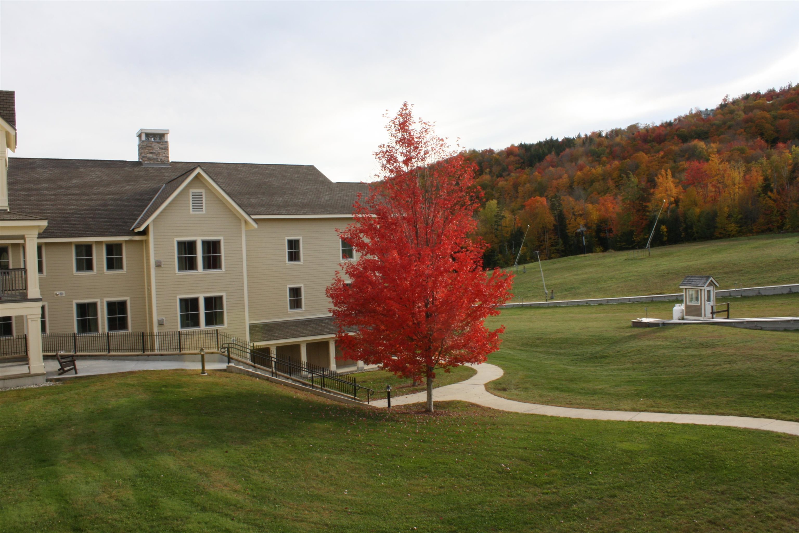 617/619 Qtr. I Adams House