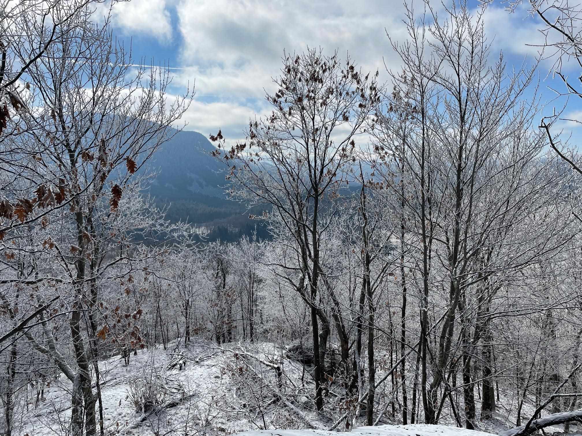 1156 Bear Mountain Road