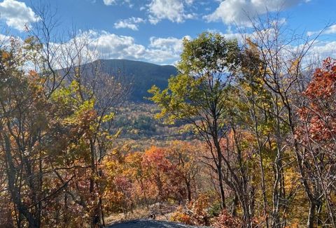 1156 Bear Mountain Road Wallingford VT 05773