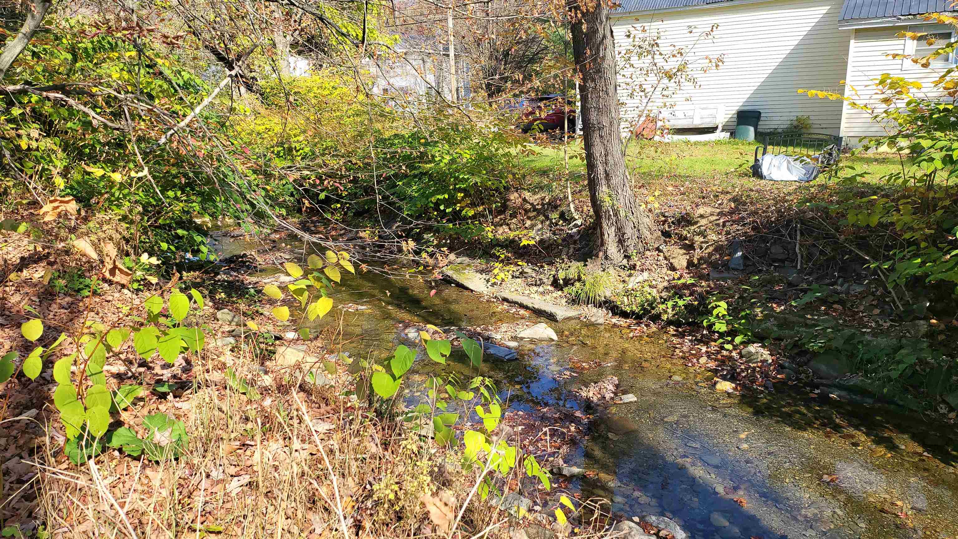 Northfield, Vermont 05663, United States, ,Land,Active,218553