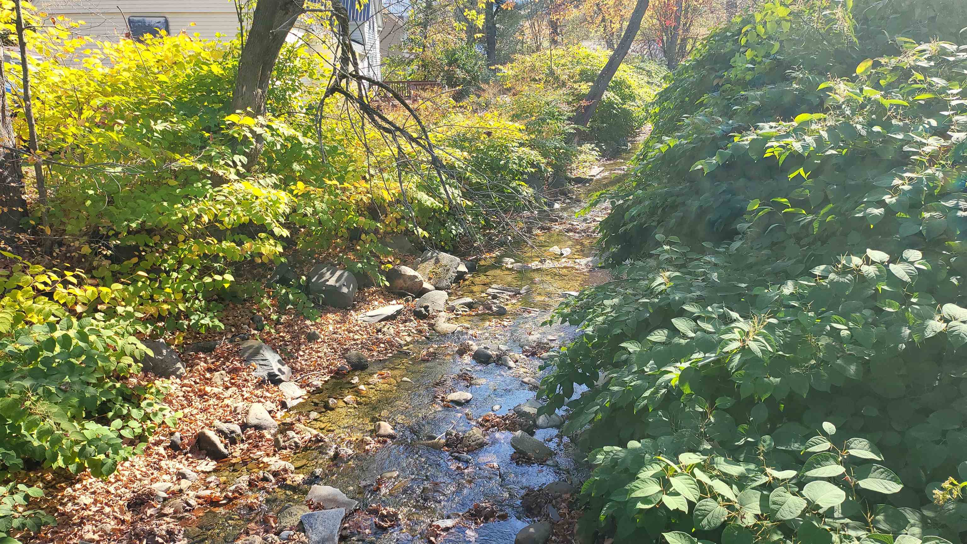 Northfield, Vermont 05663, United States, ,Land,Active,218553