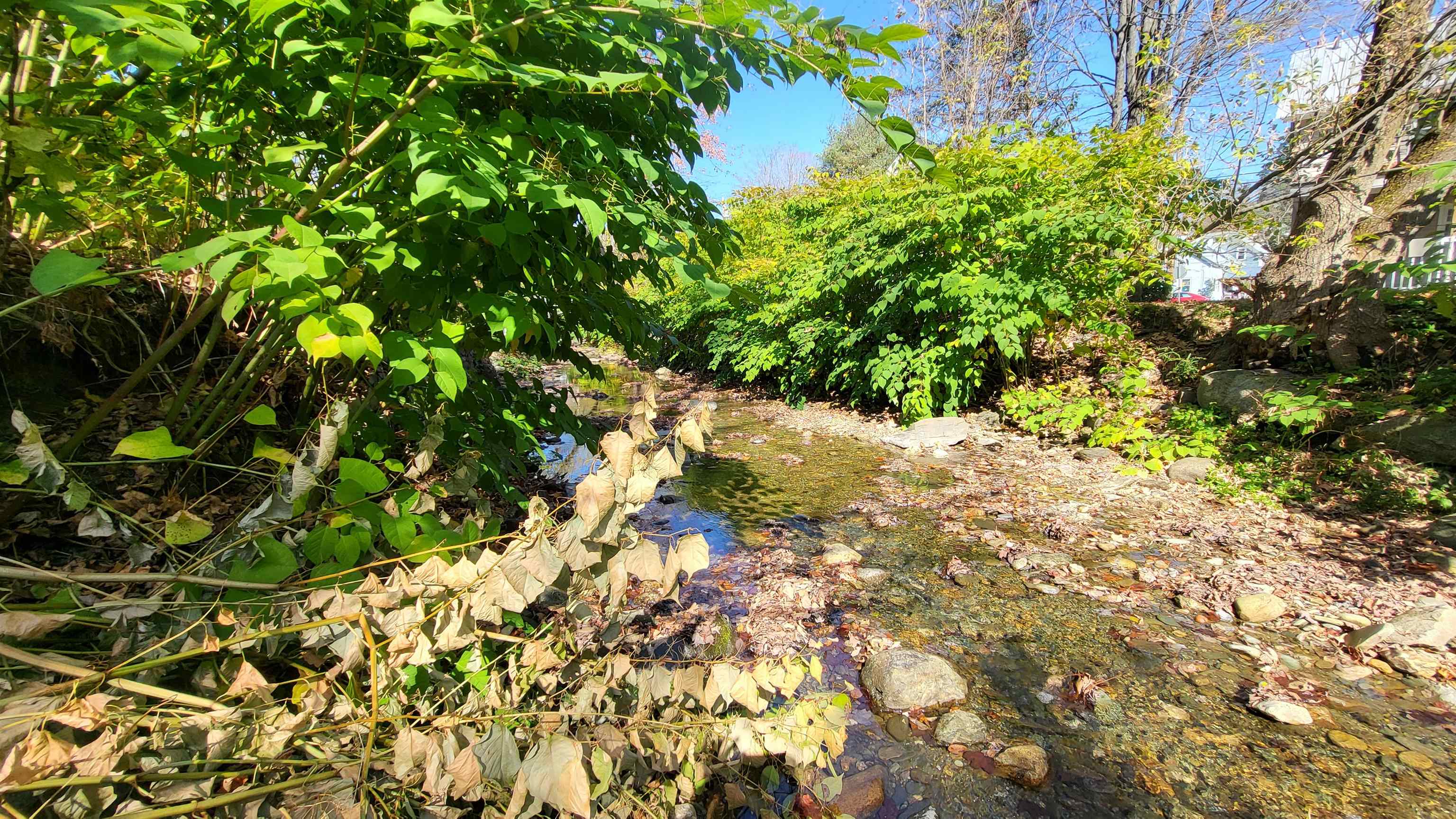 Northfield, Vermont 05663, United States, ,Land,Active,218553