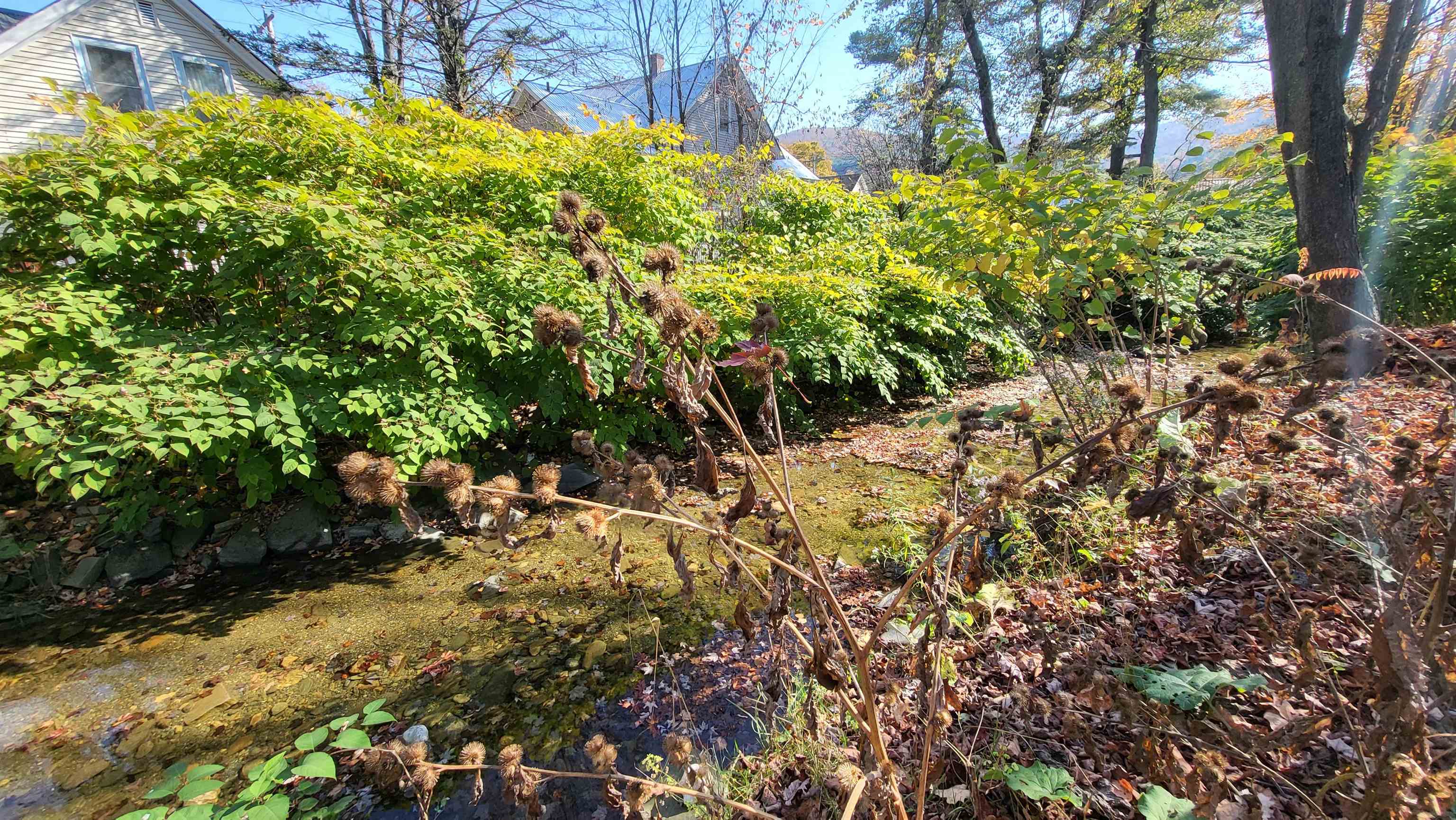 Northfield, Vermont 05663, United States, ,Land,Active,218553