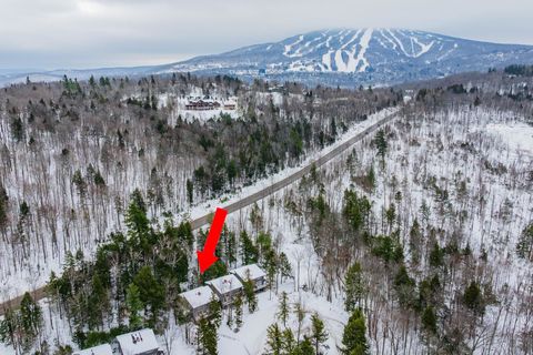 12 Stratton West Road 12 Winhall VT 05340