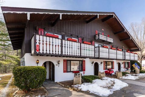 Photo of 48 Linderhof Golf Course Road #E-3, Bartlett, NH 03812 (MLS # 5081498)