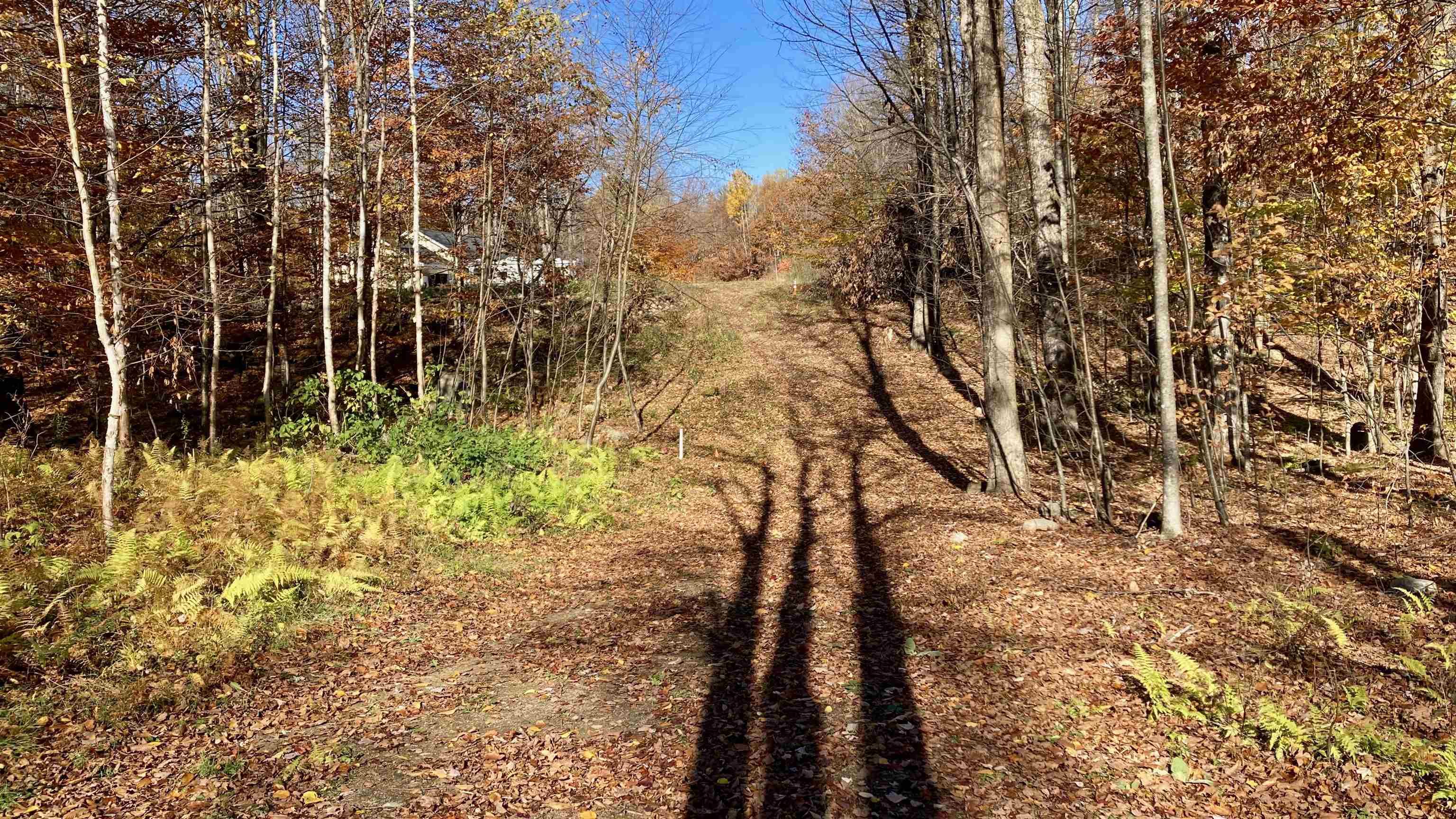 00 Lower Middle Road 11