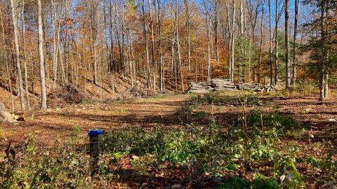 00 Lower Middle Road 11 Chittenden VT 05763