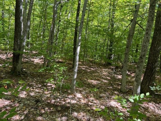 19 West Bergamo Road