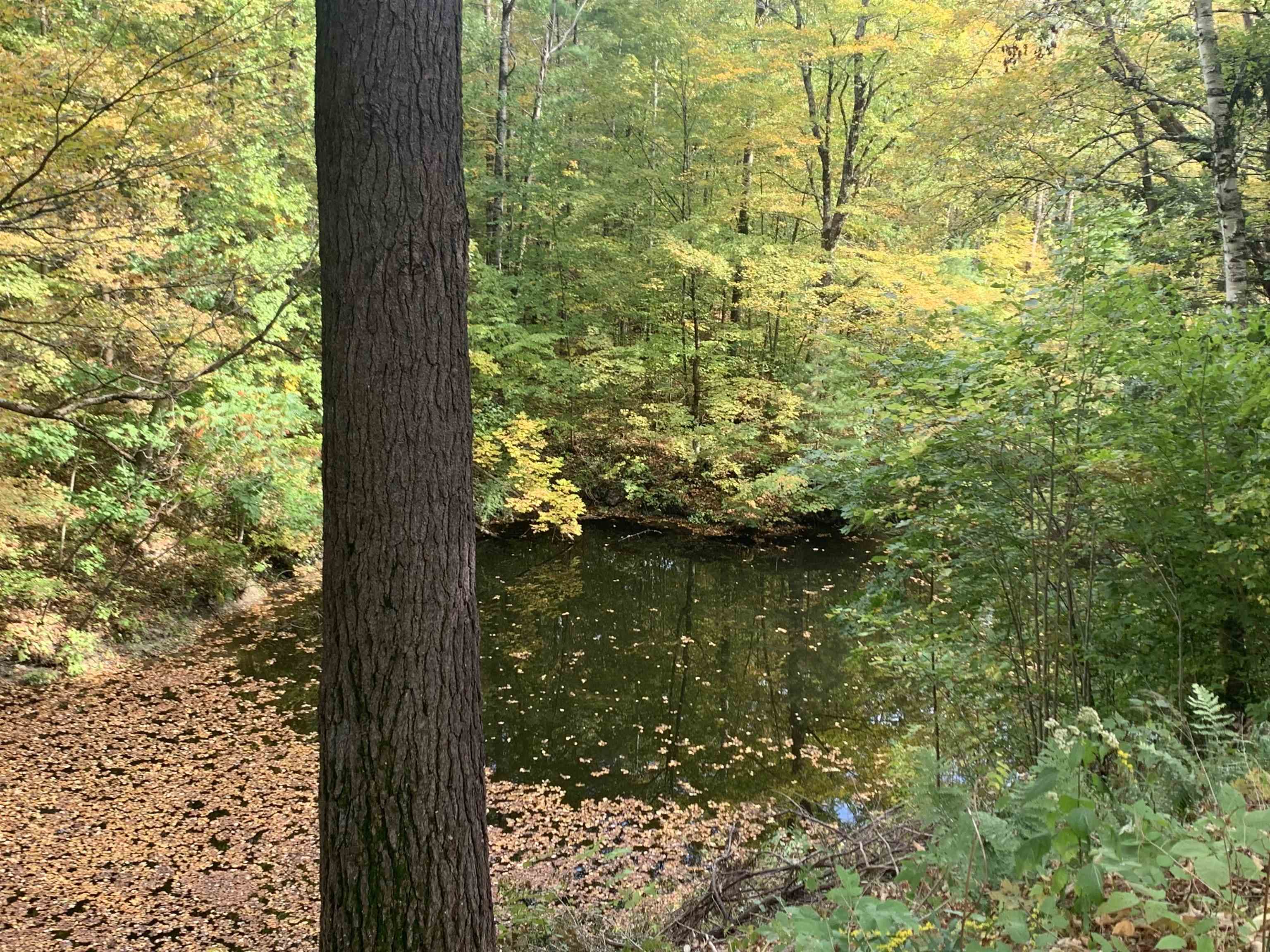 152 Pencil Mill Road