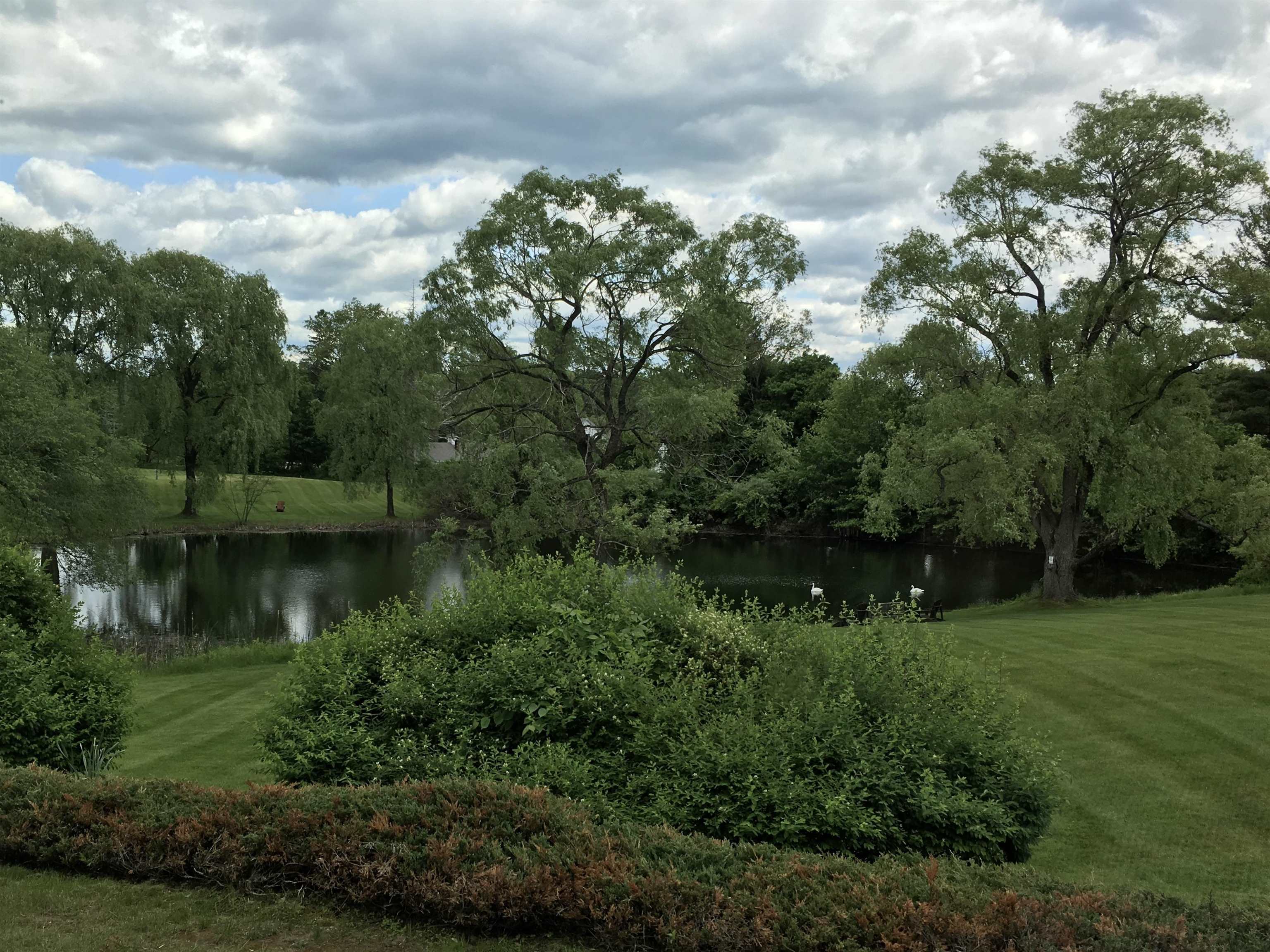 135 Amherst Street 26