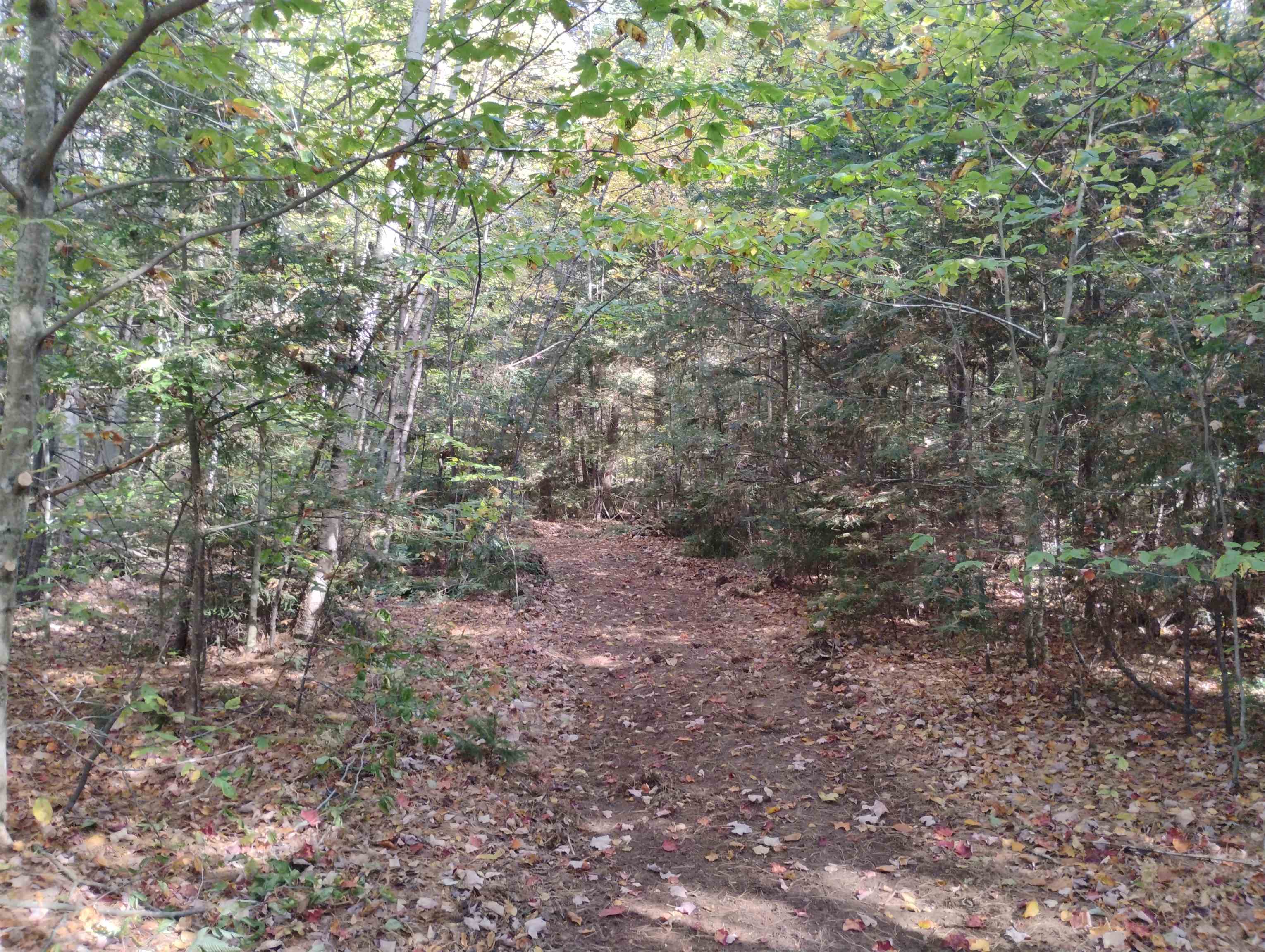 1506 Windham Hill Road