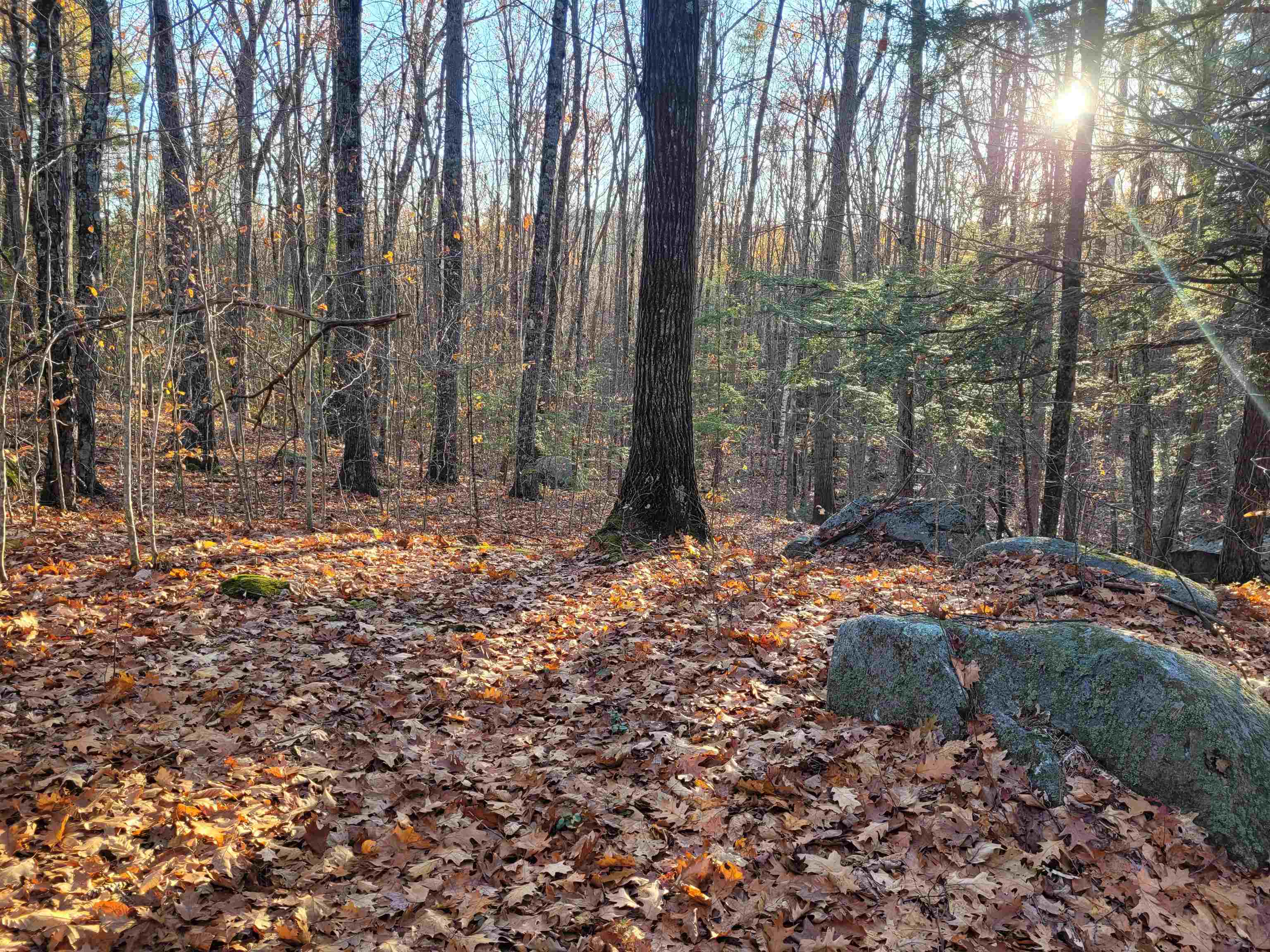 0 Old Tipping Rock Road