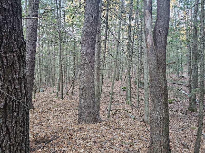 0 Old Tipping Rock Road