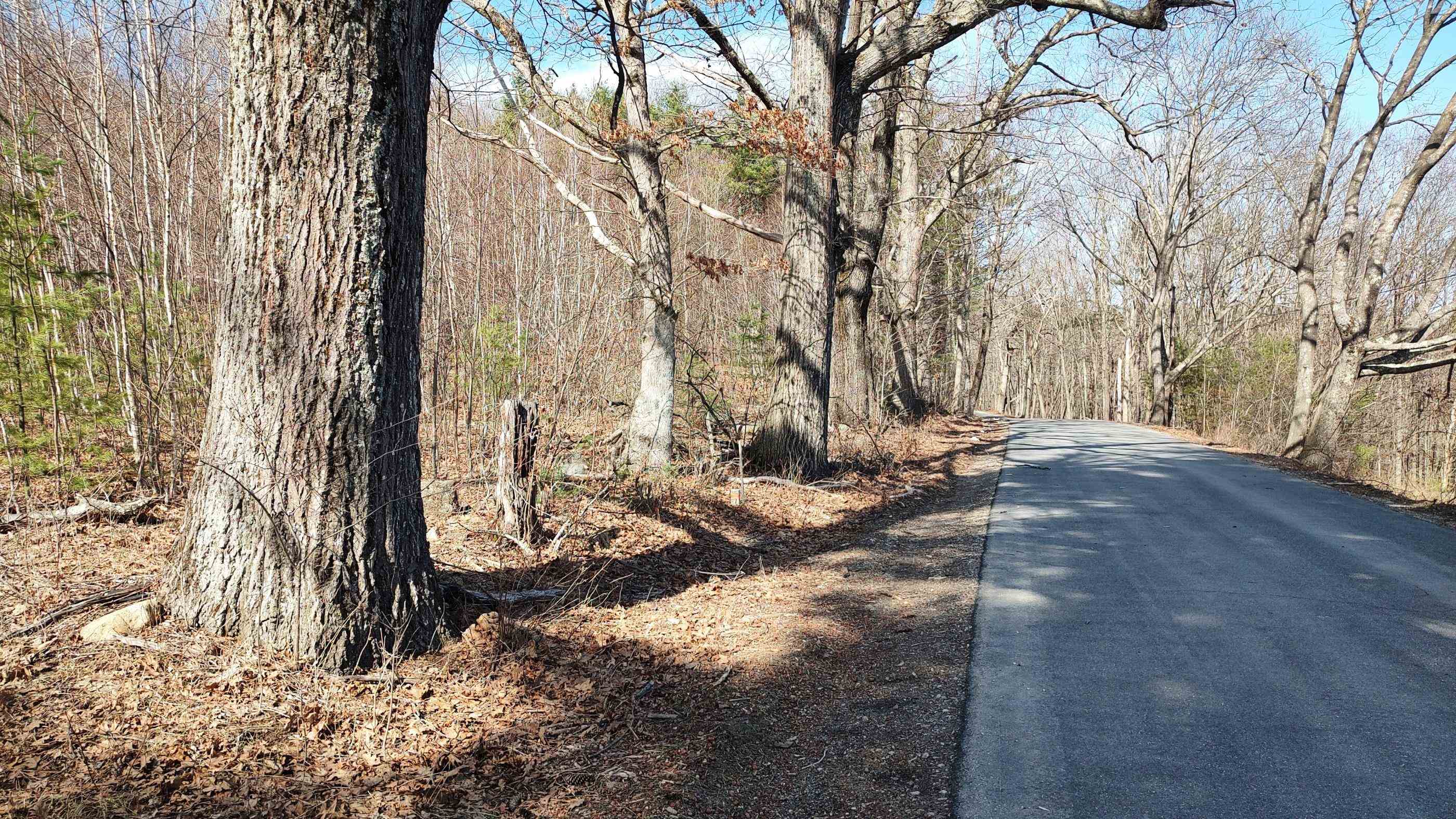 Map 1 Lot 50 Colburn Road