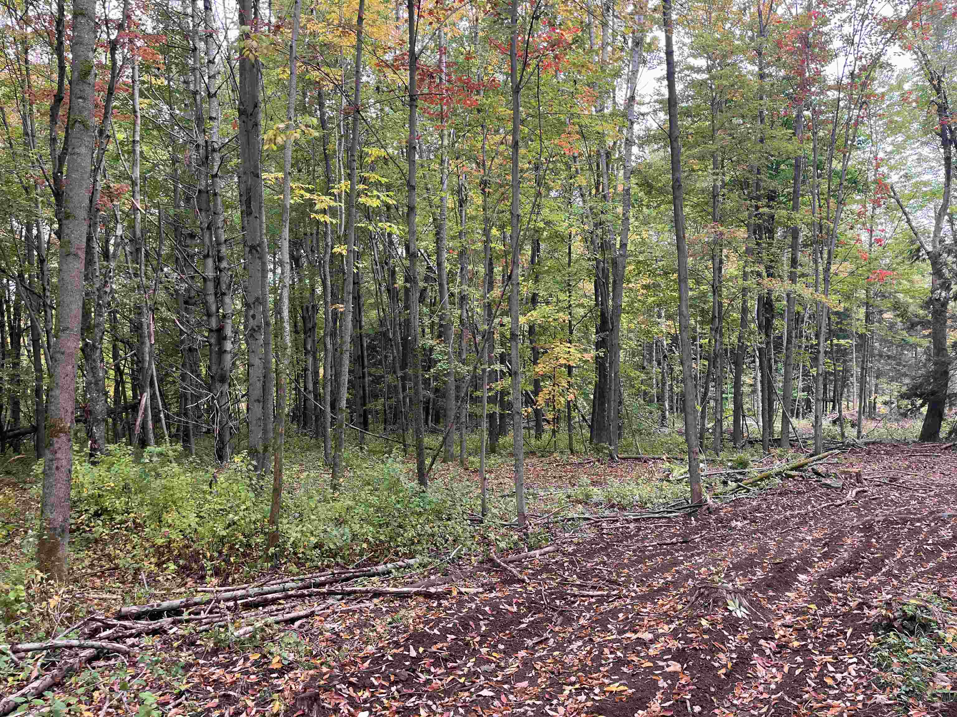 002 Duck Pond Road Lot #2