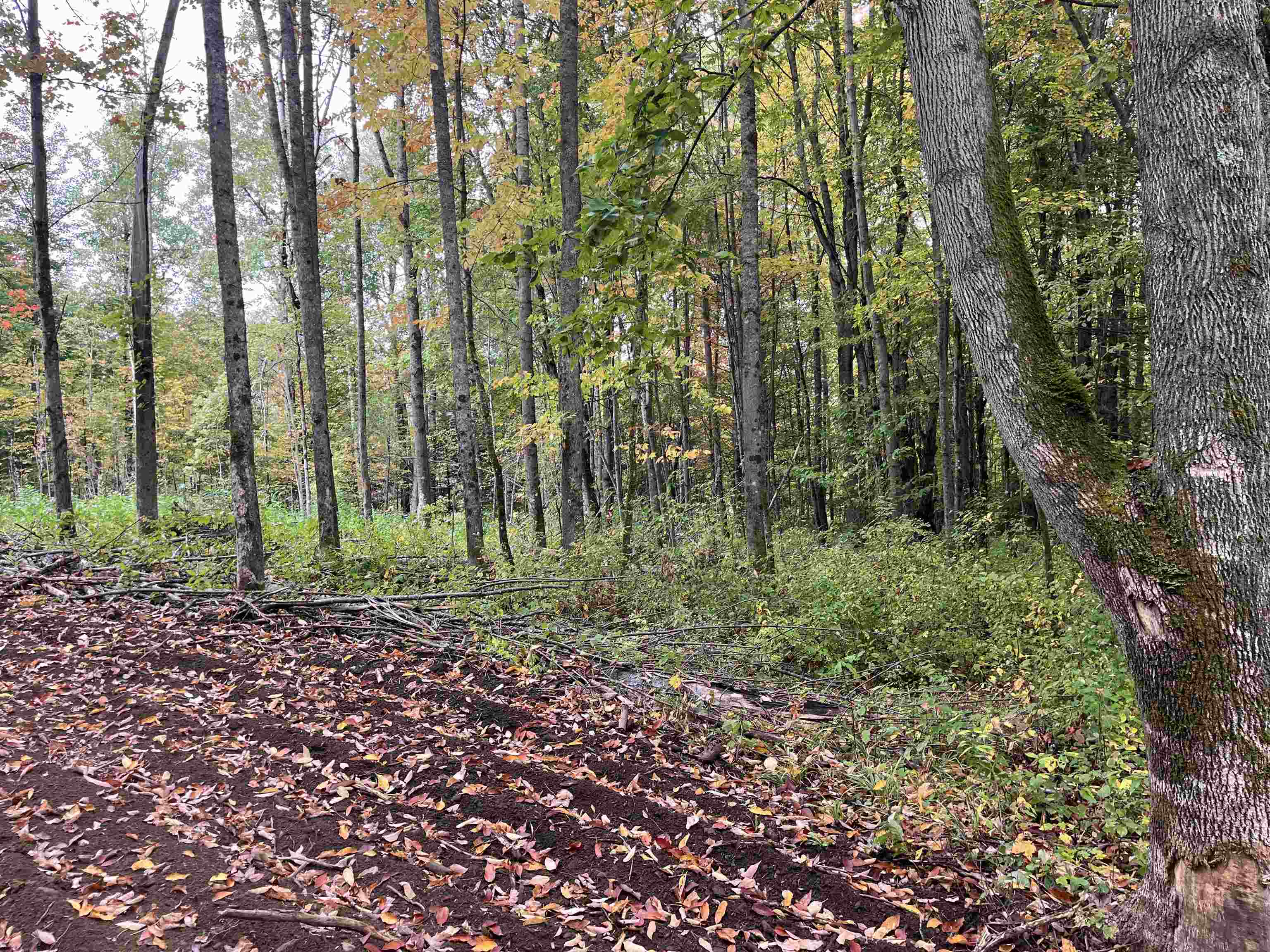 002 Duck Pond Road Lot #2