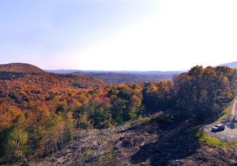 10 Overlook Drive Dover VT 05356