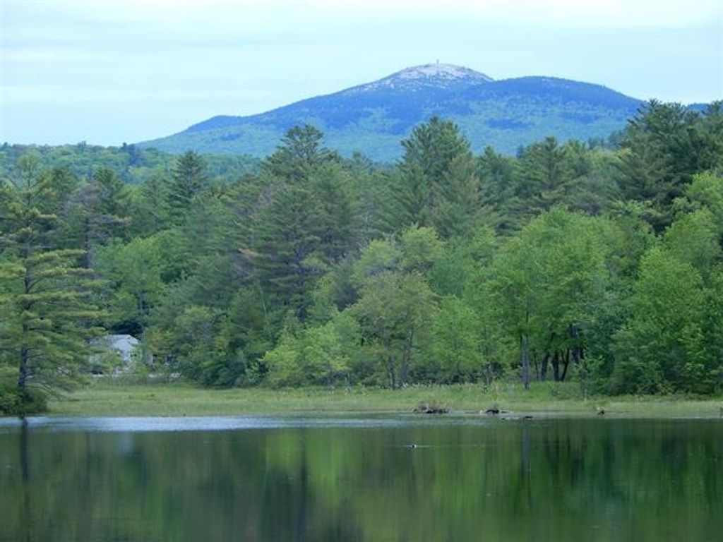 Photo of 21 Northwood Estates Drive, Grafton, NH 03741 (MLS # 5049280)