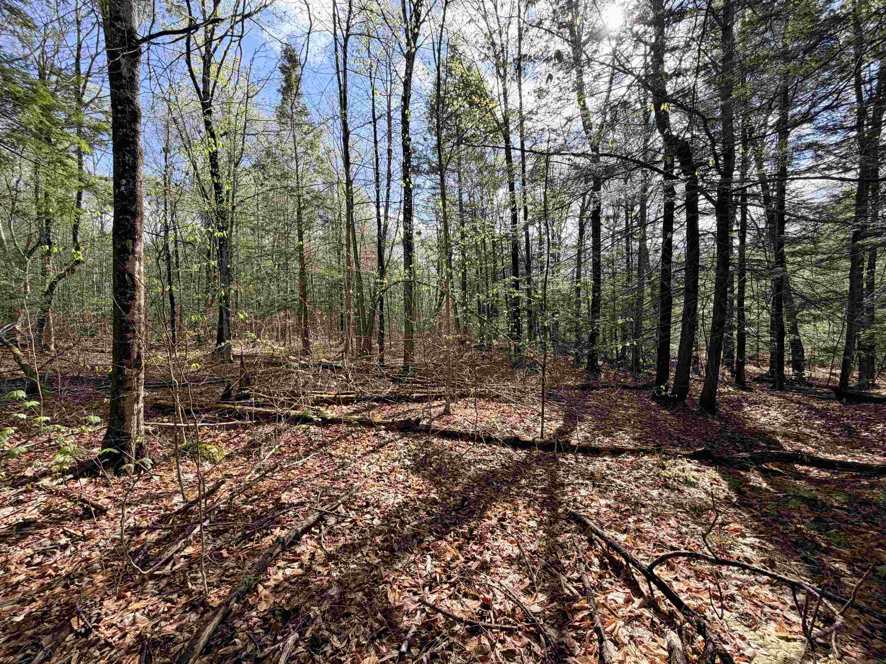 0 N Old Branch Road