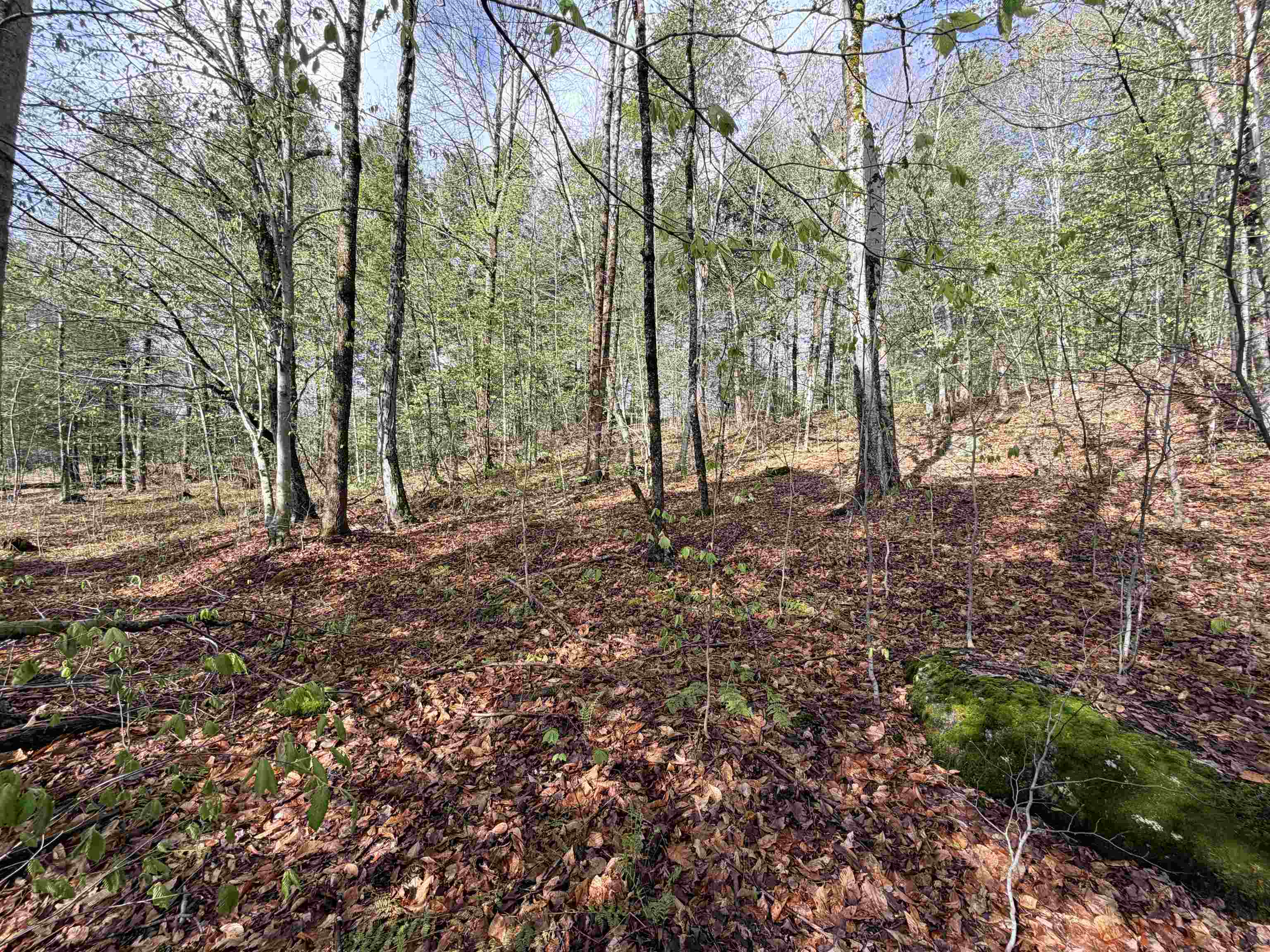 0 N Old Branch Road