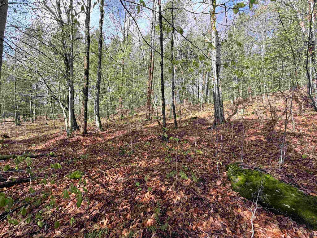 Photo of 0 N Old Branch Road, Antrim, NH 03440 (MLS # 5087568)