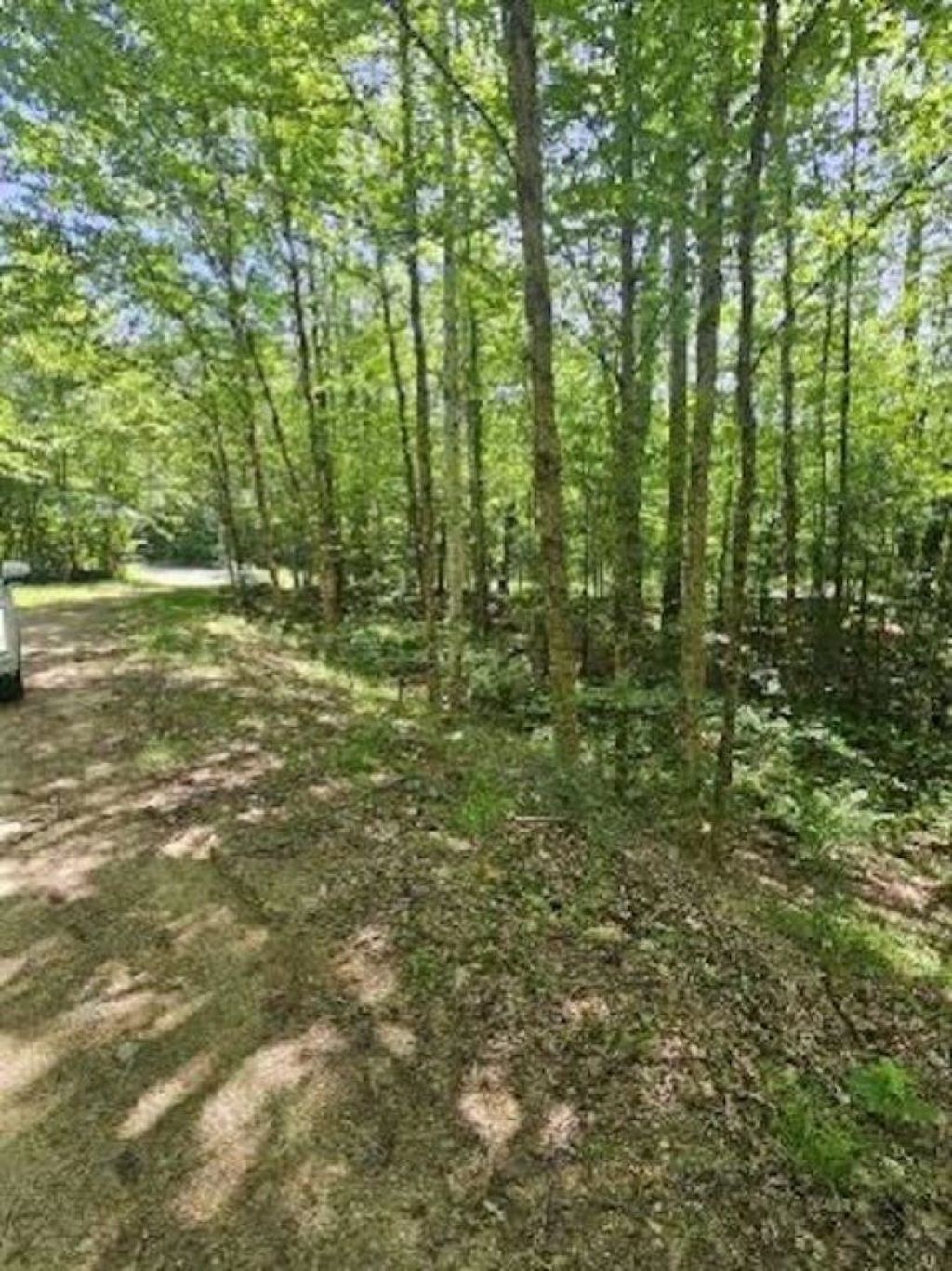 Photo of 0 Myrtle Street, Campton, NH 03223 (MLS # 5084673)