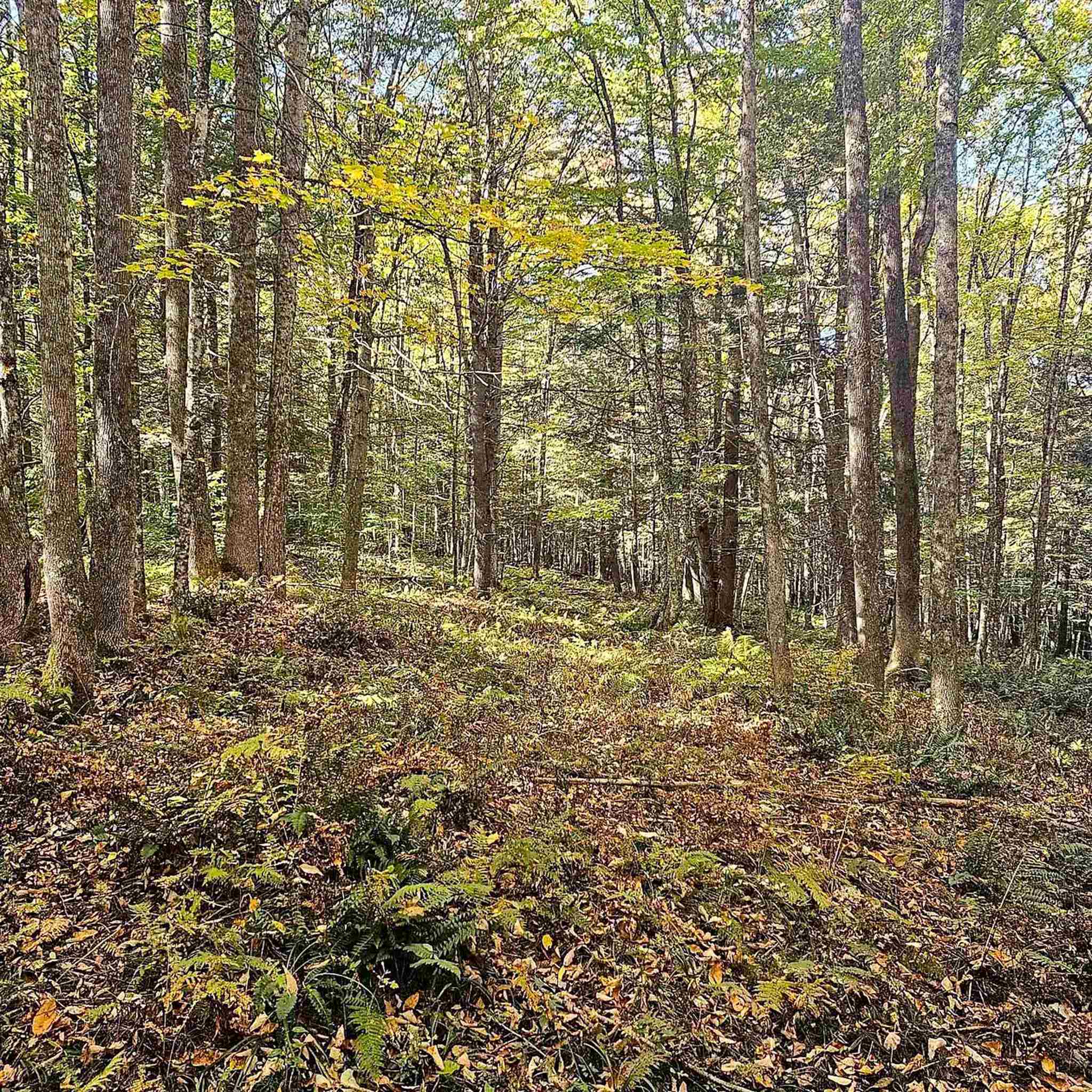 00 Tarbell Hill Road