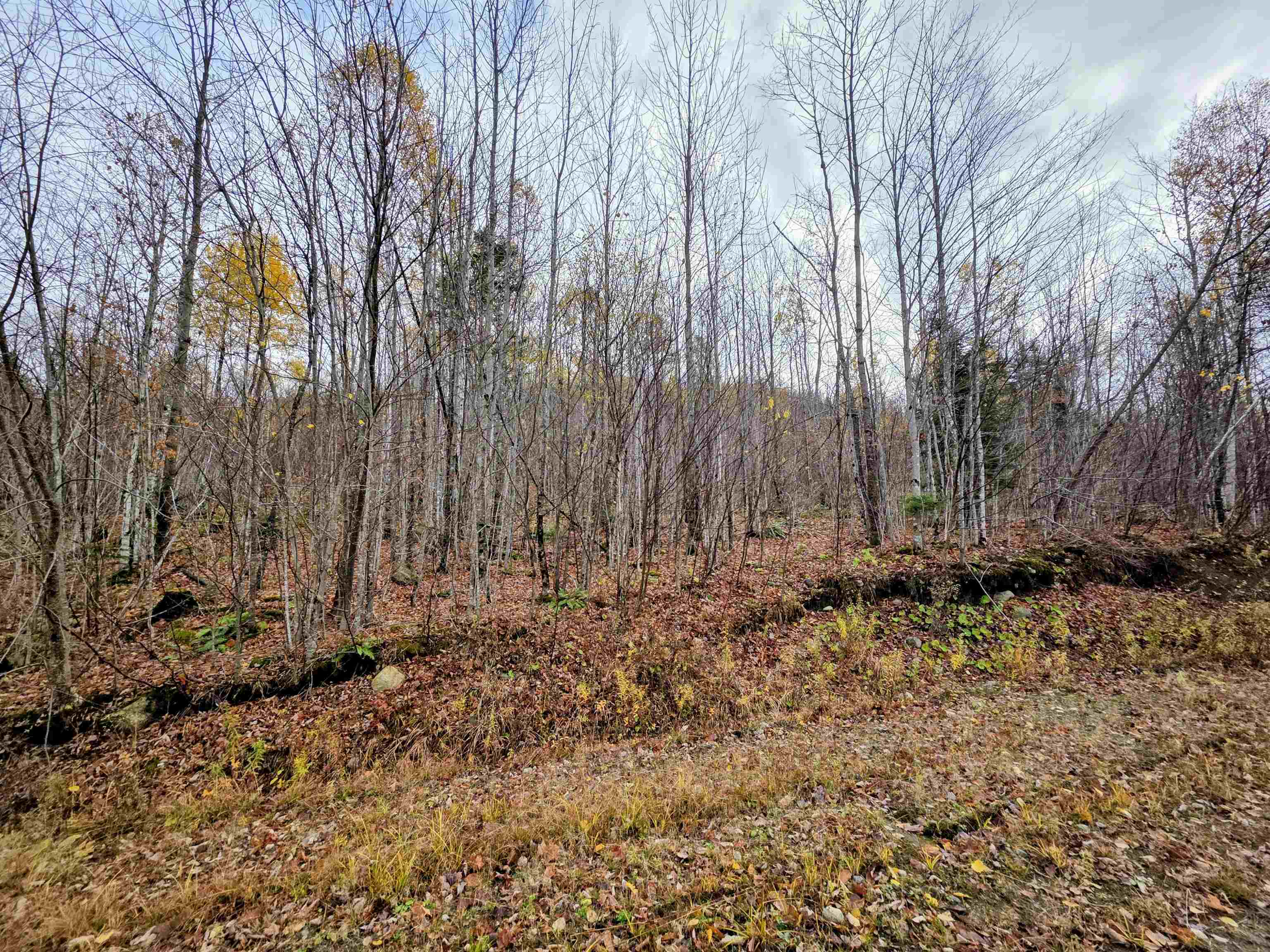 Columbia, New Hampshire 03576, United States, ,Land,Active,234196