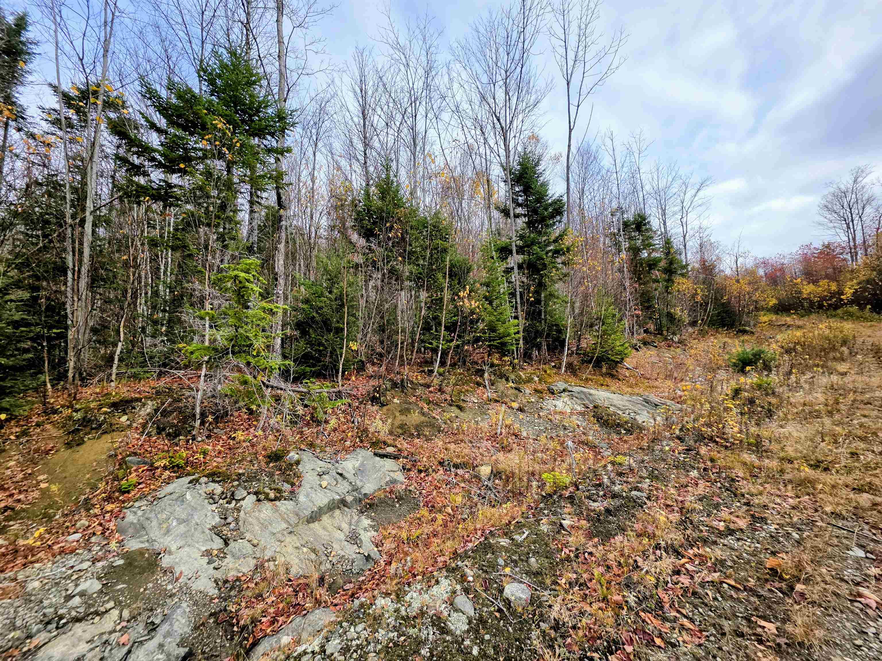 Columbia, New Hampshire 03576, United States, ,Land,Active,234196