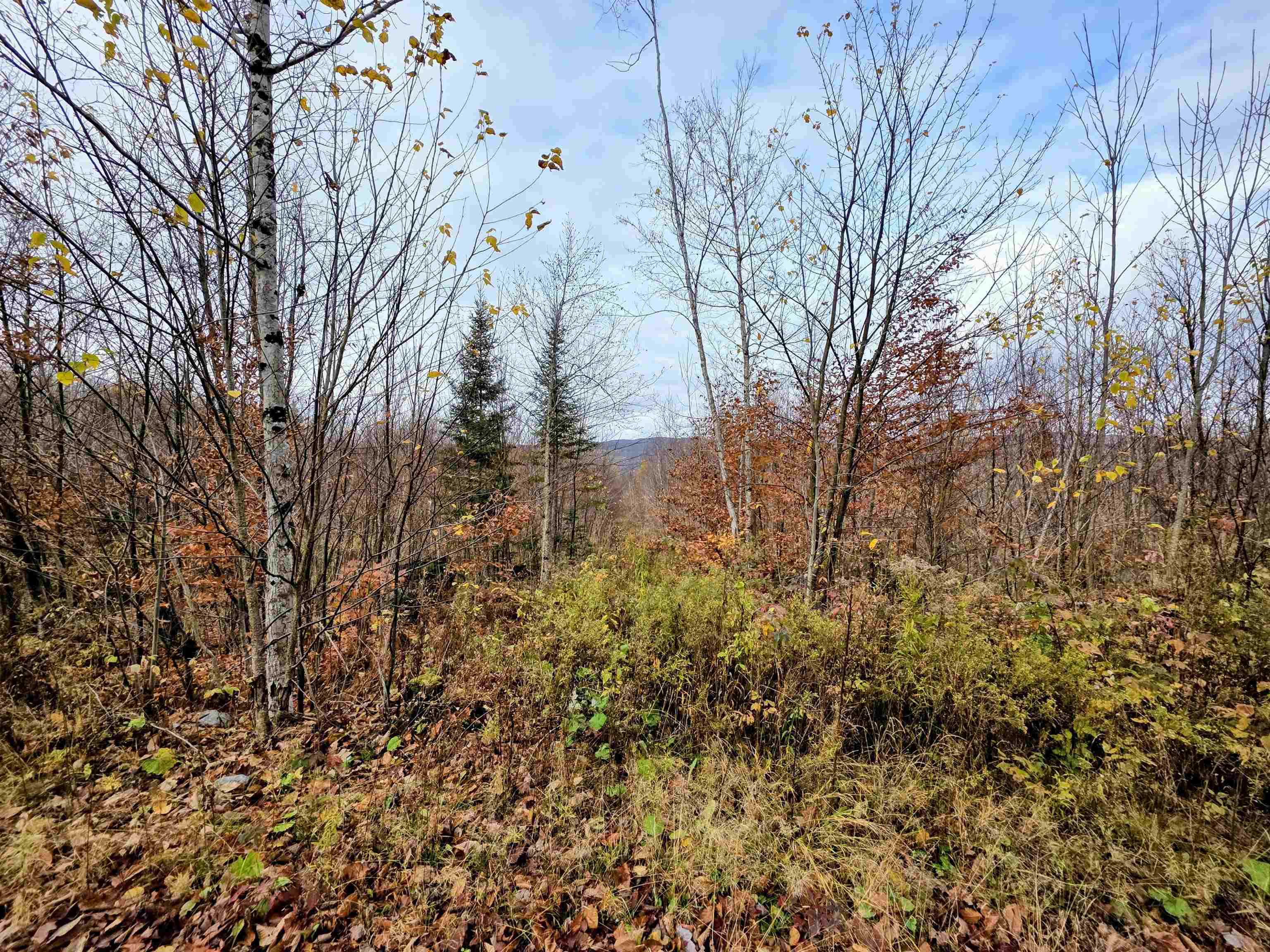 Columbia, New Hampshire 03576, United States, ,Land,Active,234196