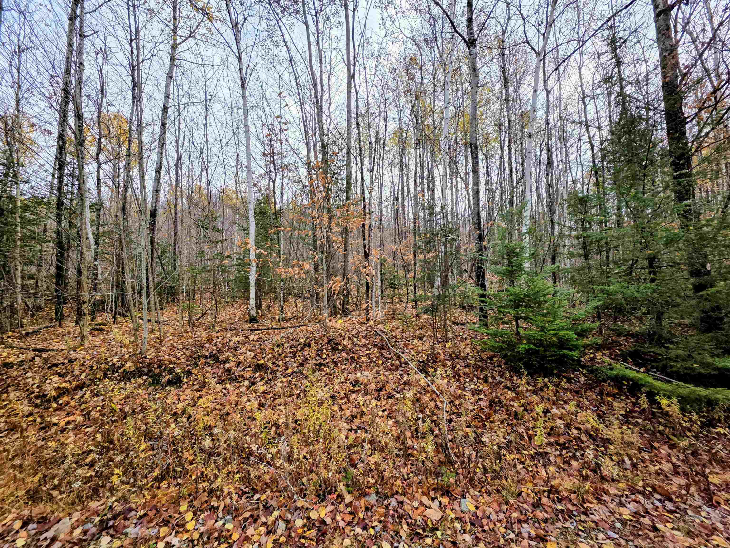 Columbia, New Hampshire 03576, United States, ,Land,Active,234196