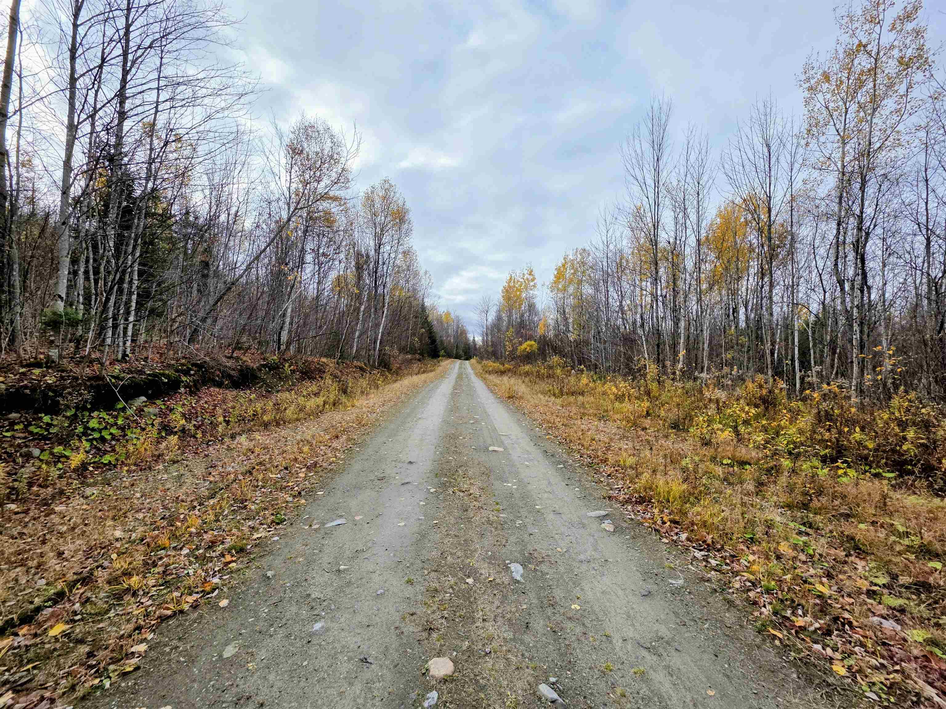 Map 405 Lot 13