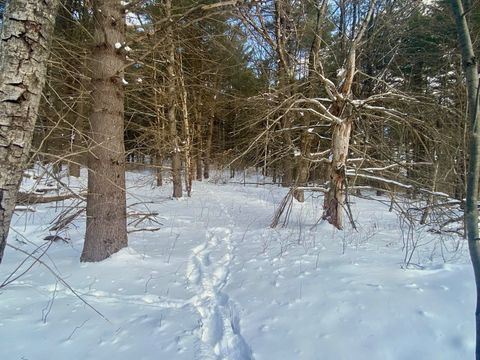 90 VT Route 140 Tinmouth VT 05773