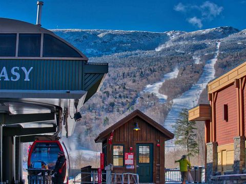 7412 Mountain Road 403 04-046 Stowe VT 05672