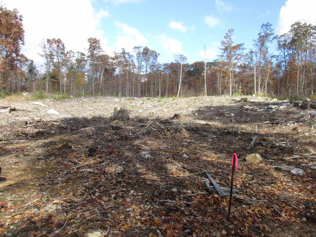 Photo of 165 Barrett Road, Greenville, NH 03048 (MLS # 5075482)