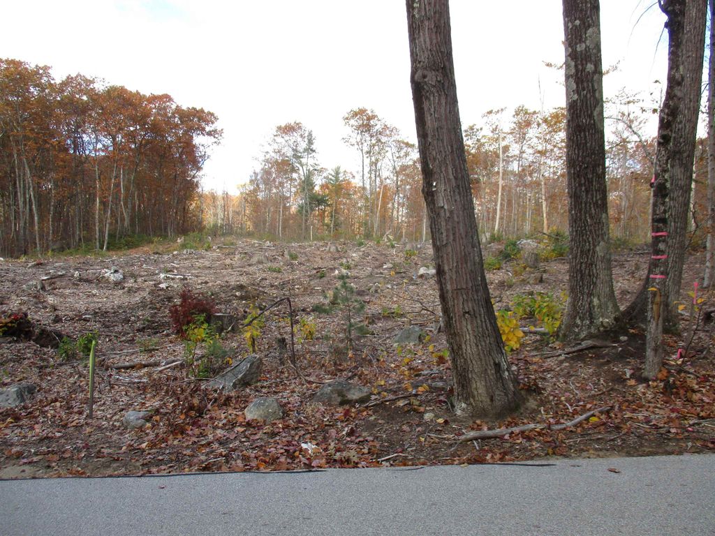 Photo of 165 Barrett Road, Greenville, NH 03048 (MLS # 5075482)