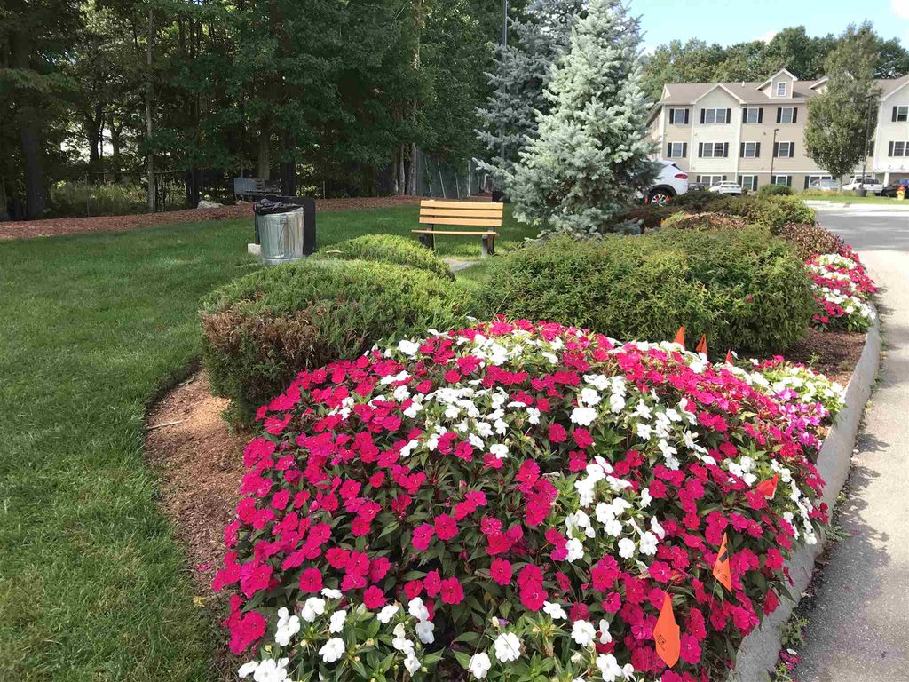 Photo of 10 Sentinel Court #306, Manchester, NH 03104 (MLS # 5088575)