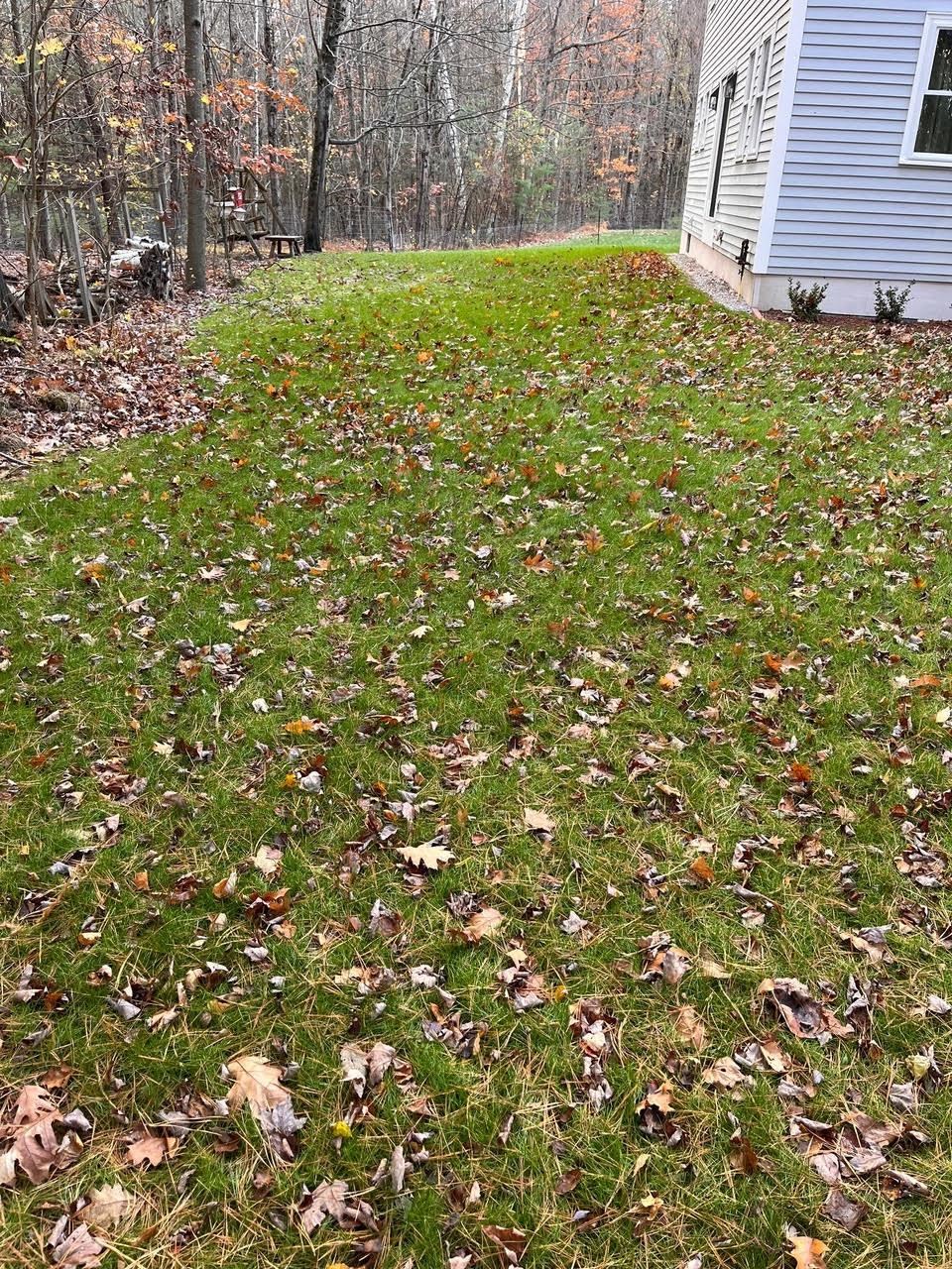 61 Russell Hill Road