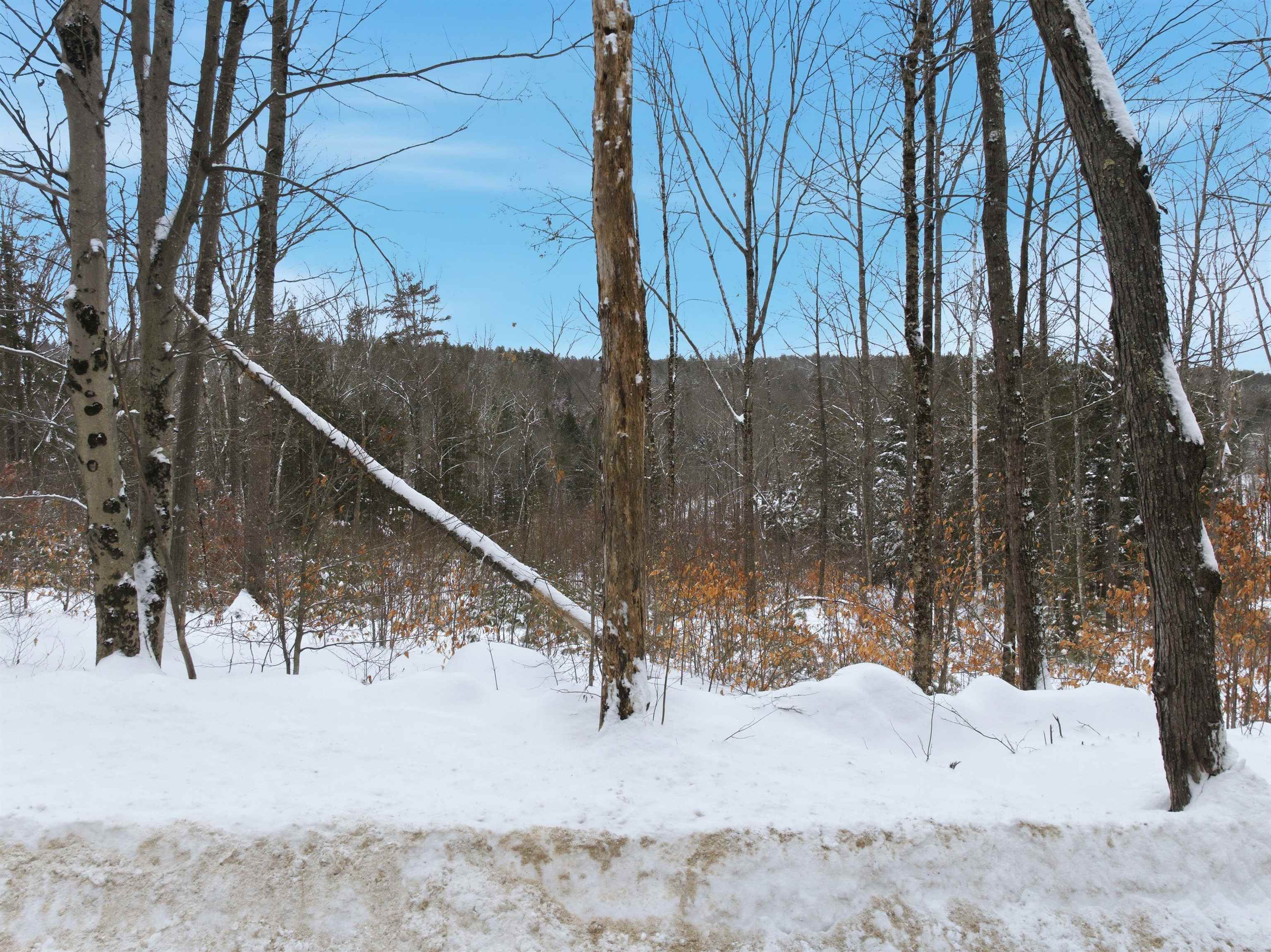 00 Birch Hill Road Map 1 Lot 578-478