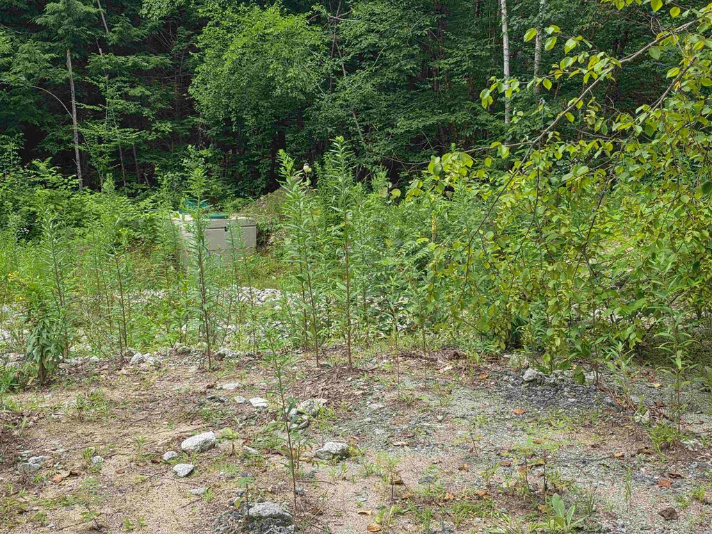 Photo of 32 Deerpoint Drive, Hillsborough, NH 03244 (MLS # 5069736)