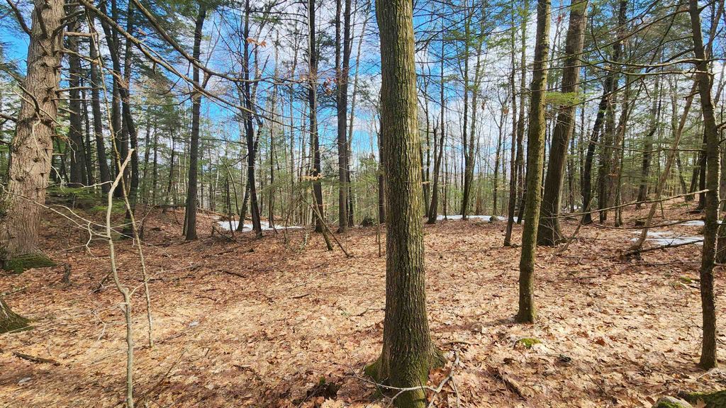 Photo of 231 Valley Road, New Durham, NH 03855 (MLS # 5073614)