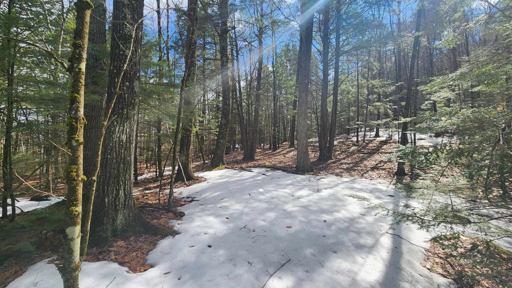 Photo of 231 Valley Road, New Durham, NH 03855 (MLS # 5073614)