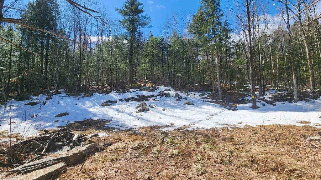Photo of 231 Valley Road, New Durham, NH 03855 (MLS # 5073614)
