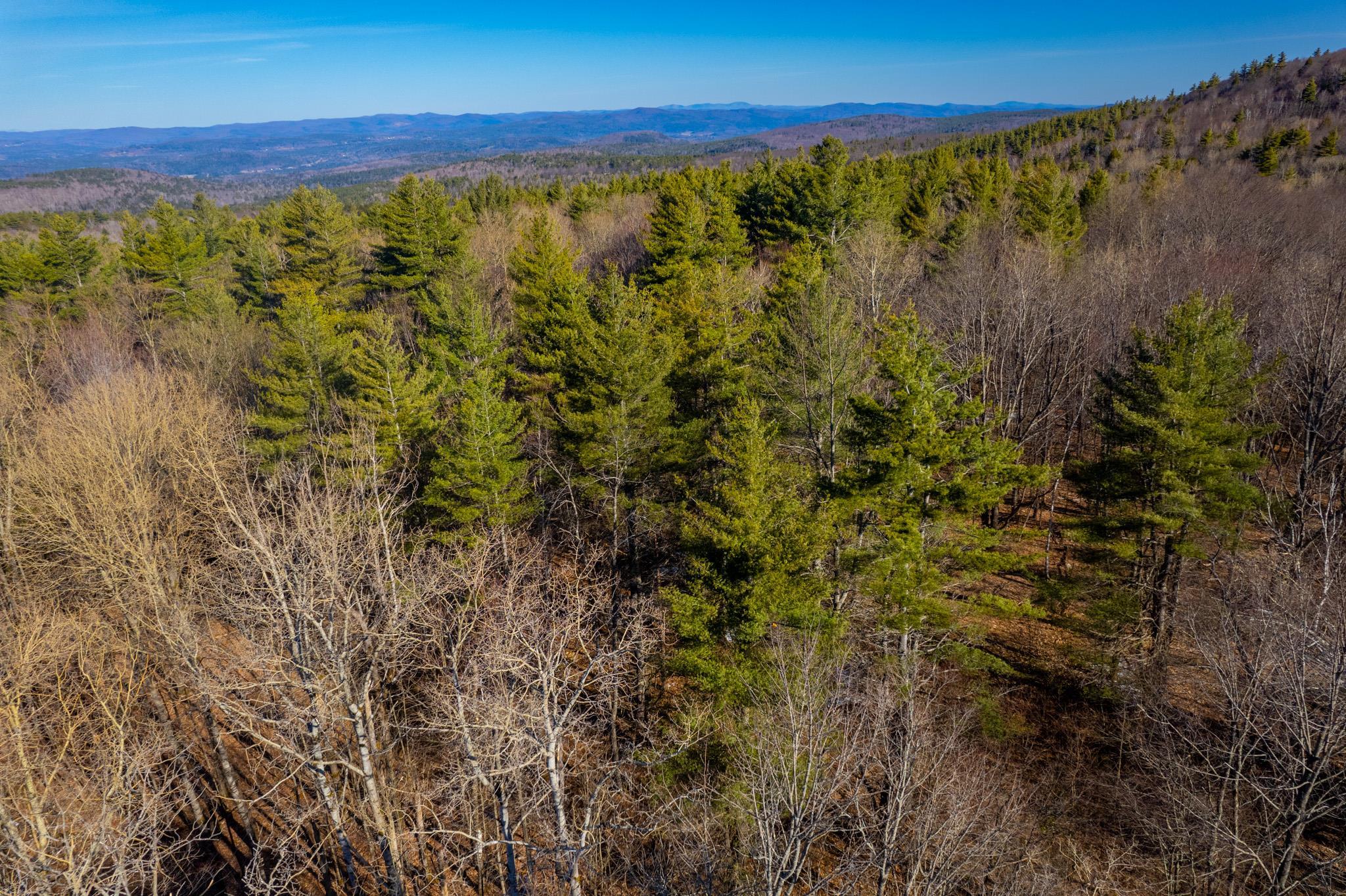 Hanover, New Hampshire 03755, United States, ,Land,Pending,152433